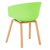 Пластиковый стул Зеленый